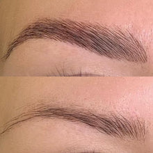 Load image into Gallery viewer, 3D Eyebrow Extentions Online Certification Training- Starts January 28, 2024